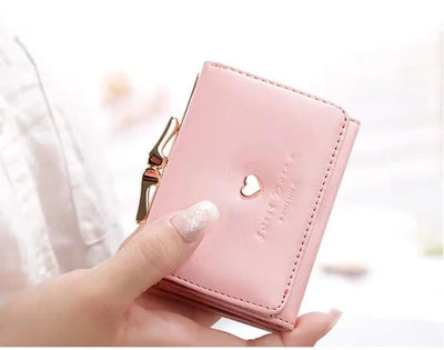 Mini porte-monnaie organiseur pastel l Maisiel