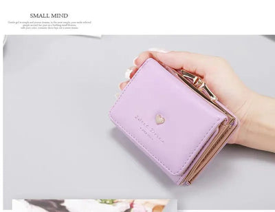 Mini porte-monnaie organiseur pastel l Maisiel
