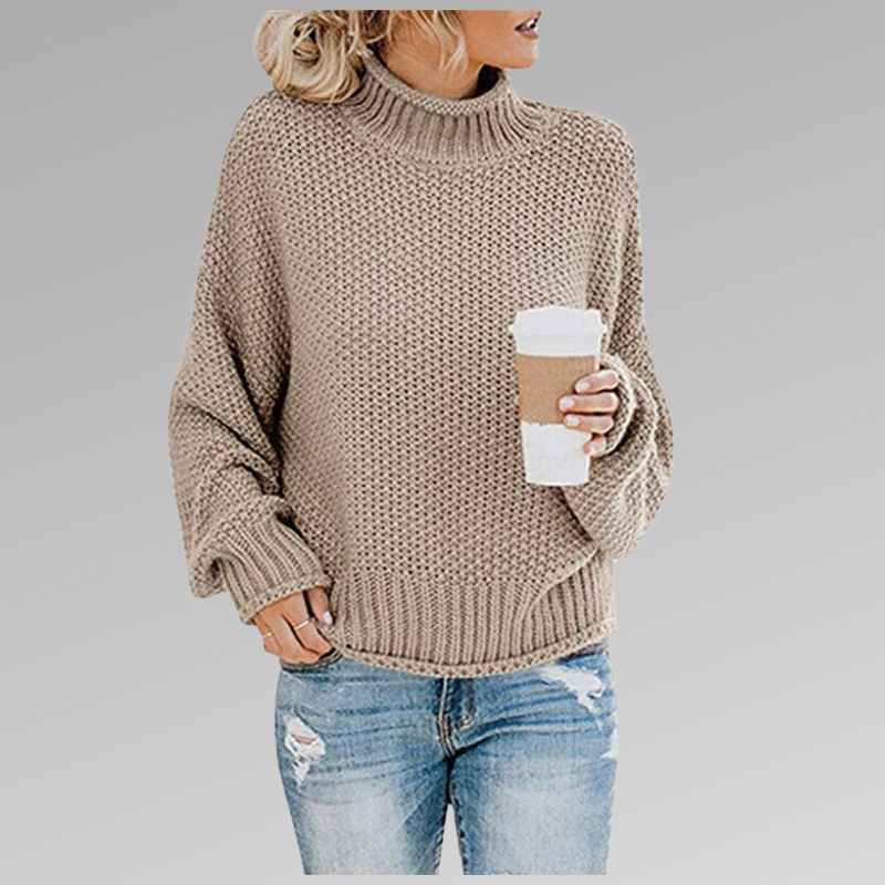 Pull Col Roulé | Maille Épaisse | Chaleur Vitaminée