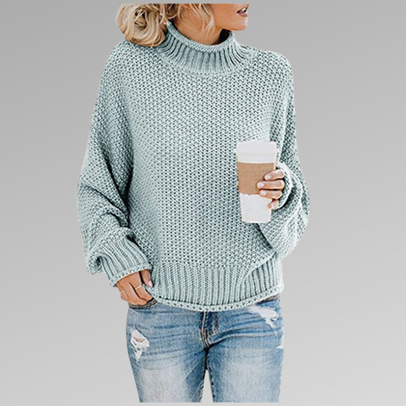 Pull Col Roulé | Maille Épaisse | Chaleur Vitaminée