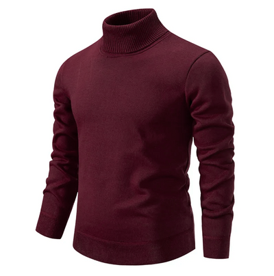Remy - Pull à col roulé homme