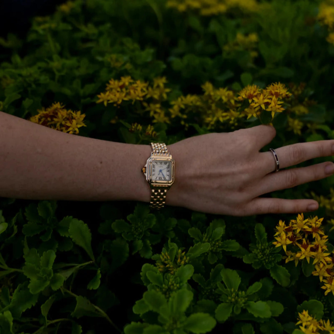Calista™ | Montre Boho-Chic avec Détails Luxueux