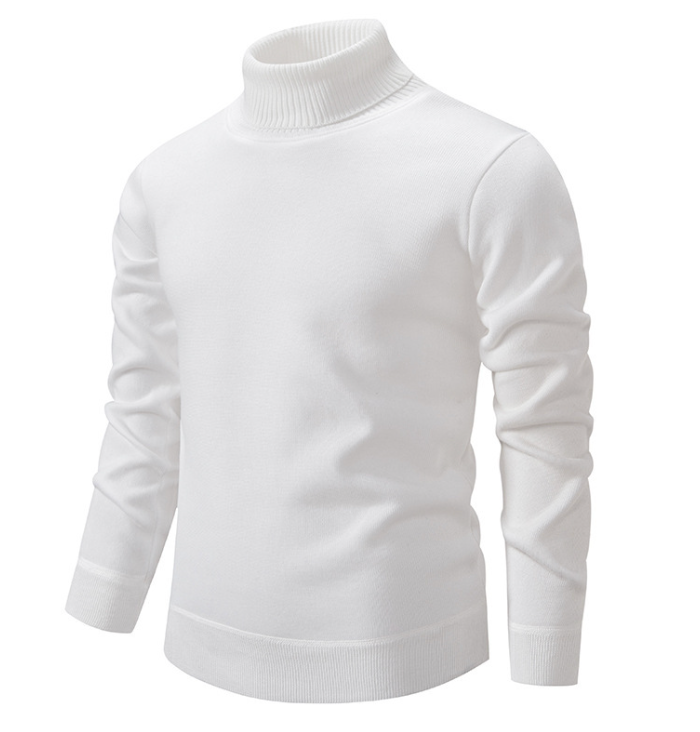 Remy - Pull à col roulé homme