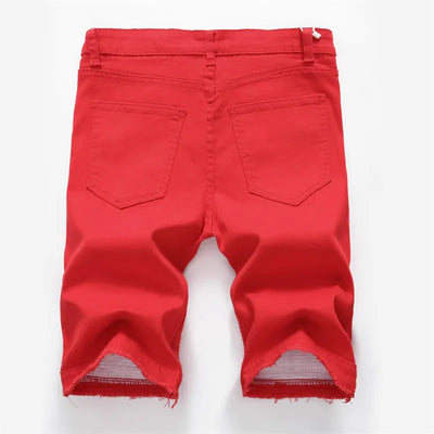 Beltran | Shorts à la Mode Pleats pour Hommes