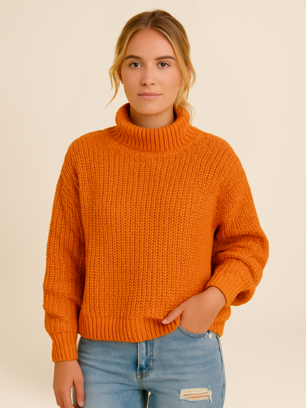 Pull Col Roulé | Maille Épaisse | Chaleur Vitaminée
