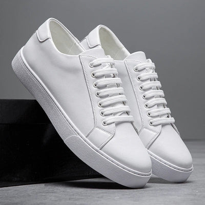 Baskets en cuir Ascend