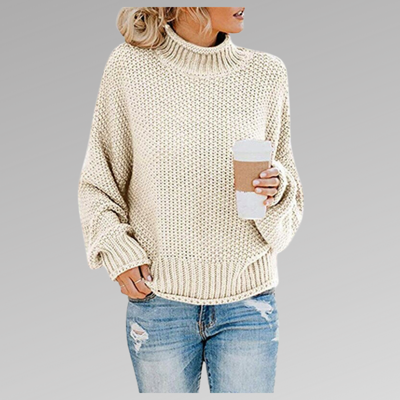 Pull Col Roulé | Maille Épaisse | Chaleur Vitaminée