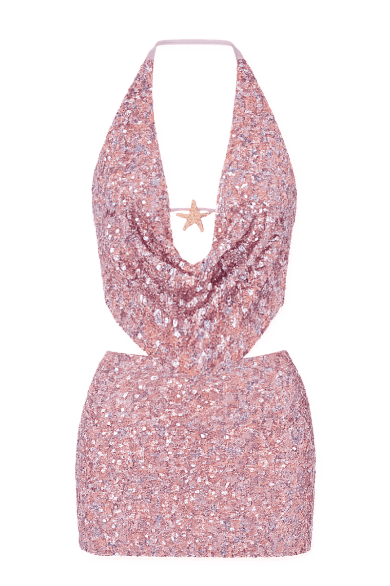 Ensemble Danica