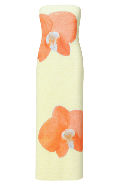 Robe Rema
