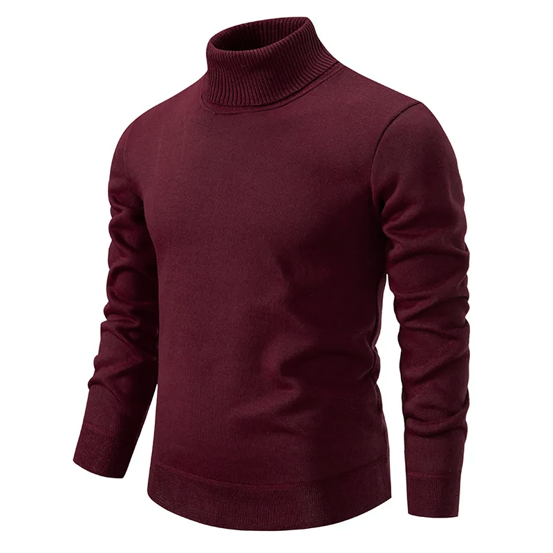 Remy - Pull à col roulé homme